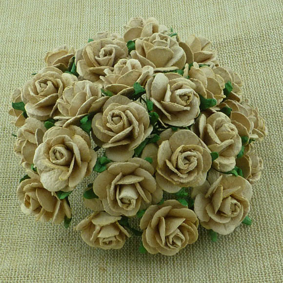 Wild Orchid,розы,MKX-032