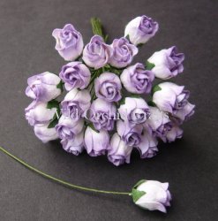 Wild Orchid,розы,GST-059