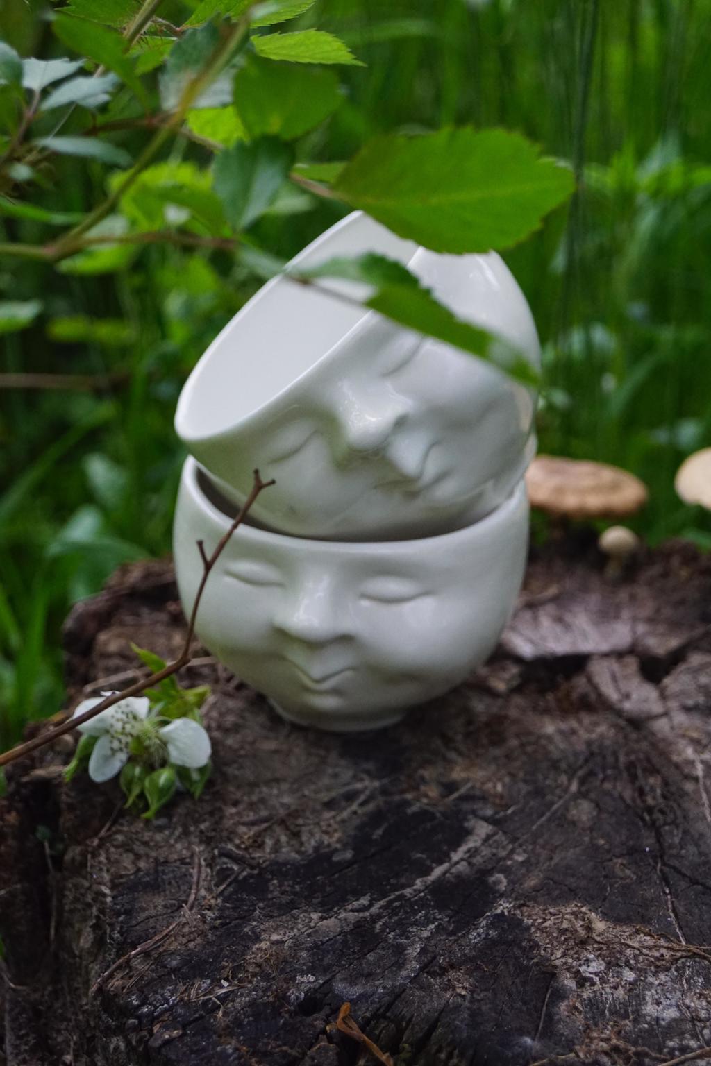 Лунокружка