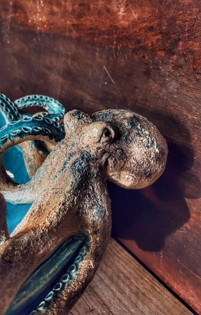 Раковина с осьминогом