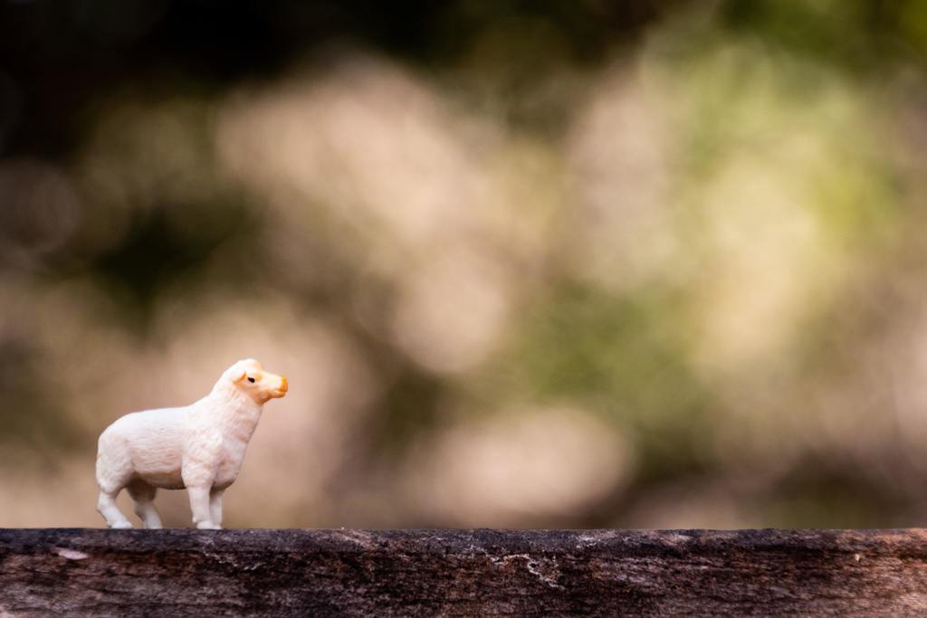 ПУТЕШЕСТВИЕ НА ФЕРМУ