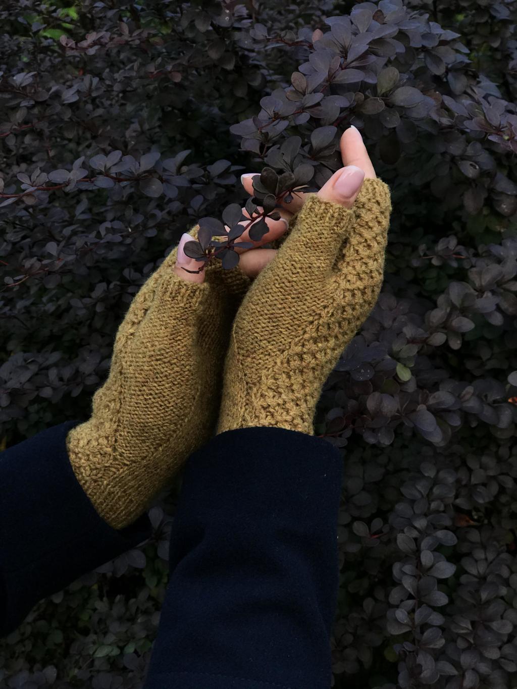 МИТЕНКИ trefoil_mittens