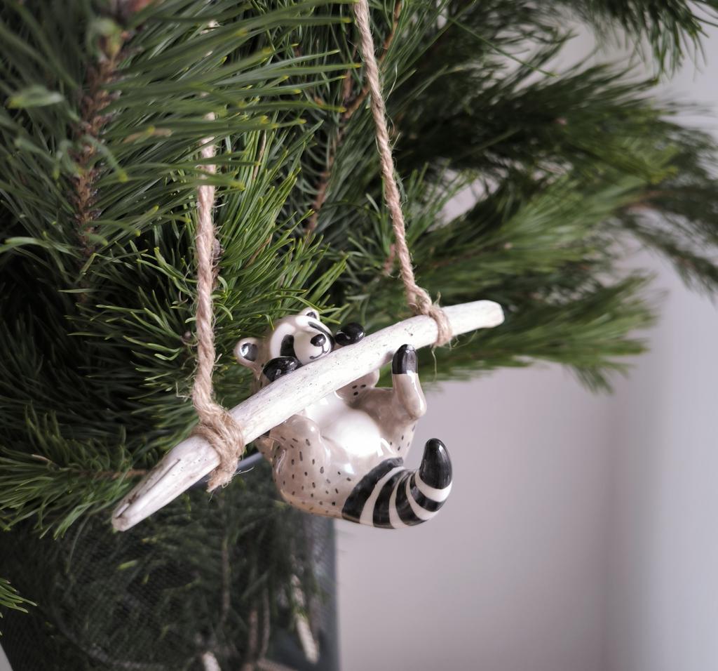 Енот на ветке 3