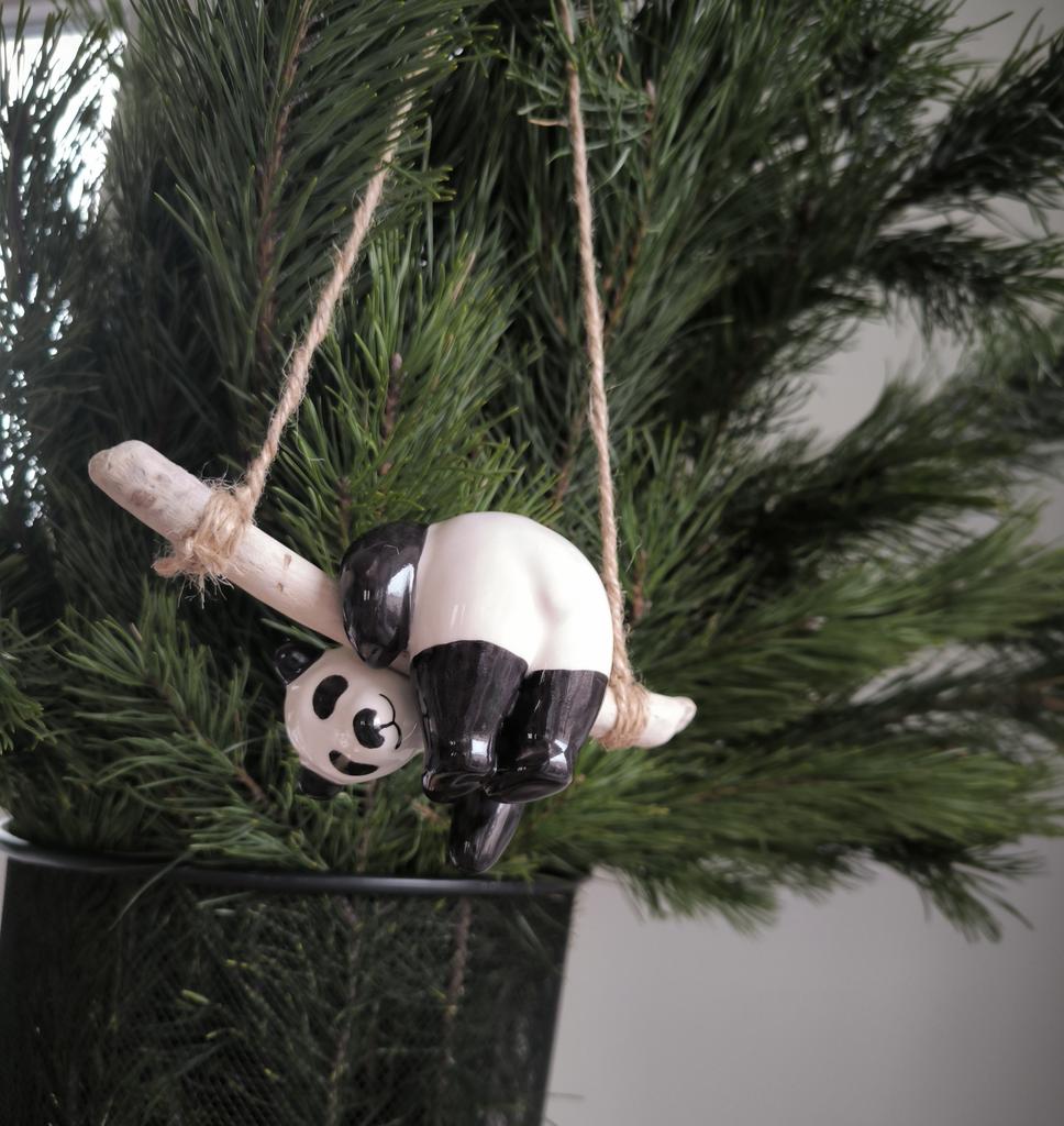 ПАНДА НА ВЕТКЕ 3