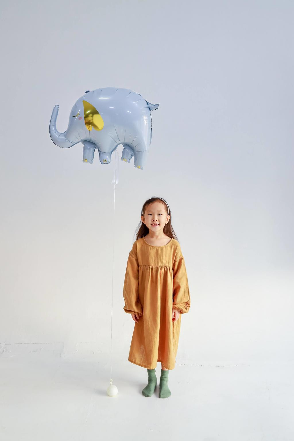 Слон, 61х46 см