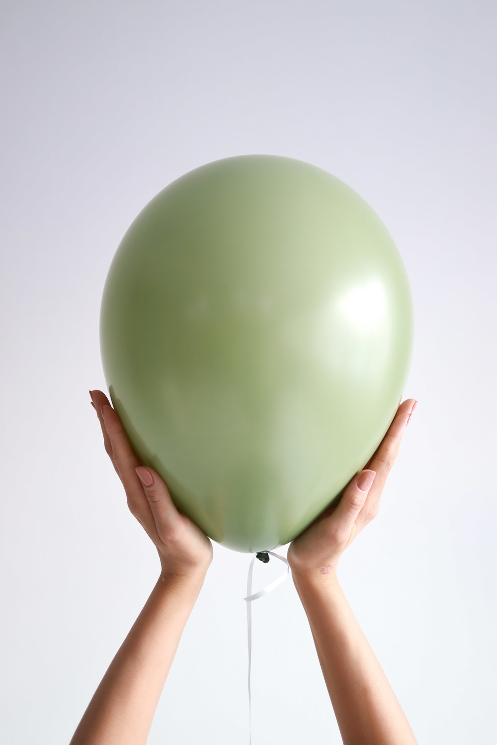 Стандартный шар, эвкалипт, 36 см