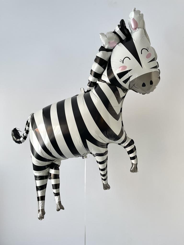 Зебра джунгли, 127 см