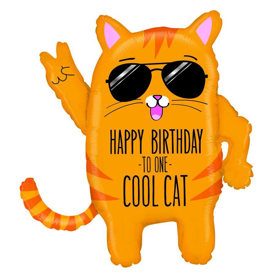 Классный кот, Happy birthday, 84 см