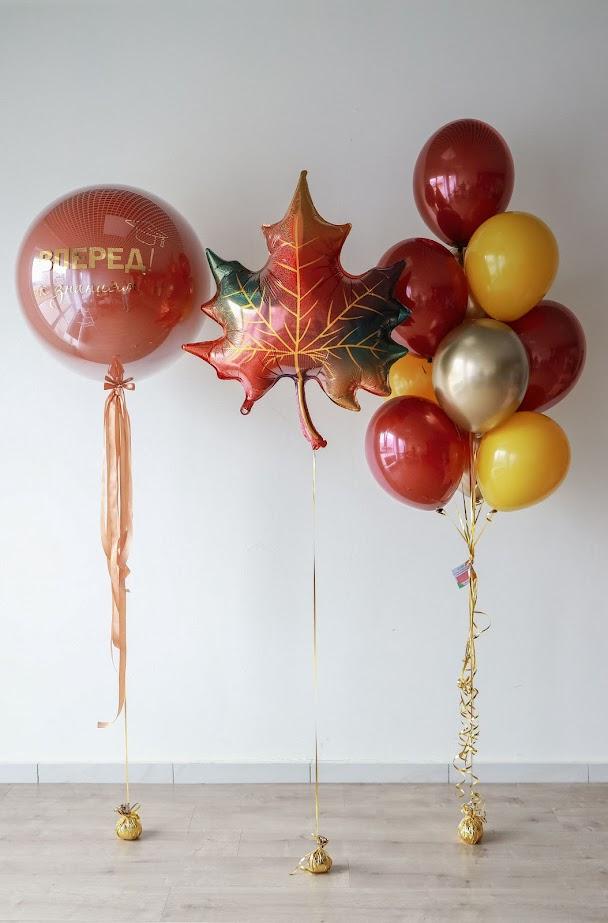 Набор "Вперед к знаниям"