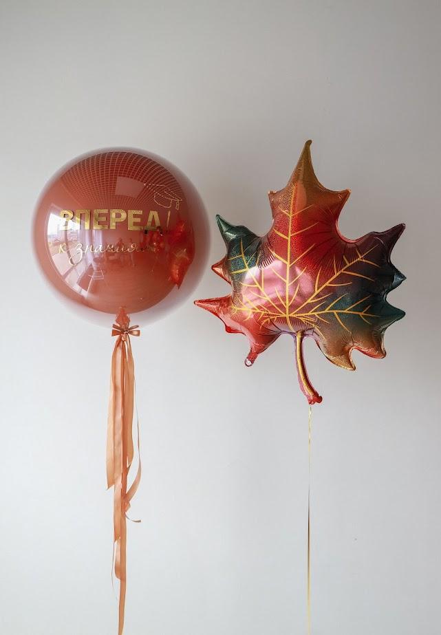 Набор "Вперед к знаниям 1"