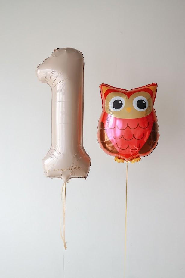 Набор "Сова с цифрой"