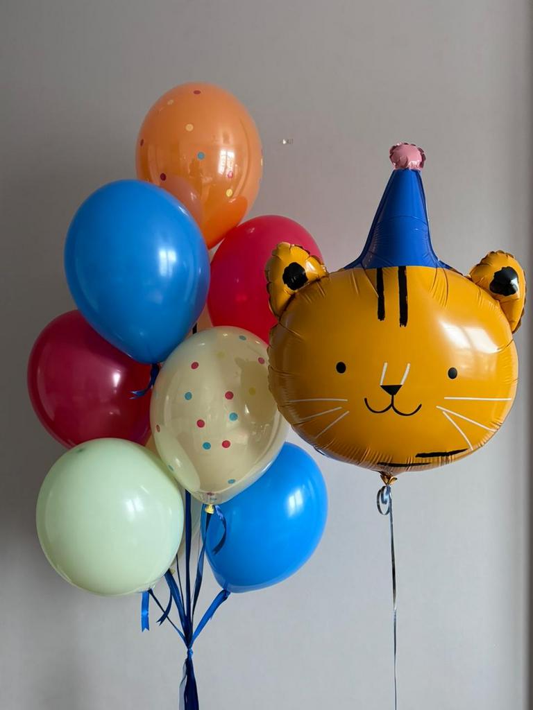 Набор "Тигр в колпаке"