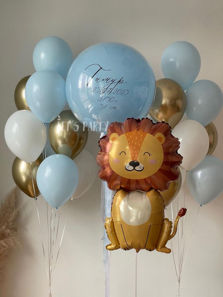 Набор "Лев" 2