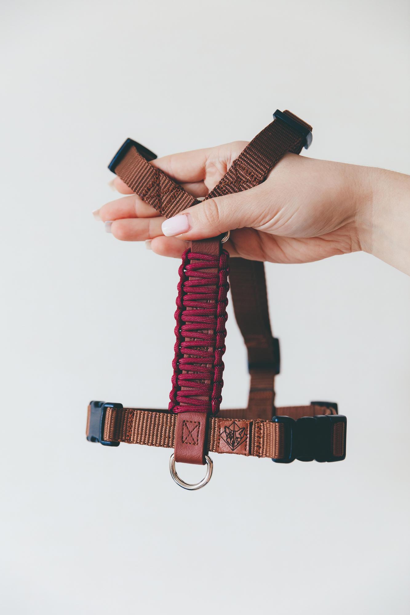 ШЛЕЙКА ДЛЯ СРЕДНИХ ПОРОД С БИОТАНОВОЙ СПИНКОЙ