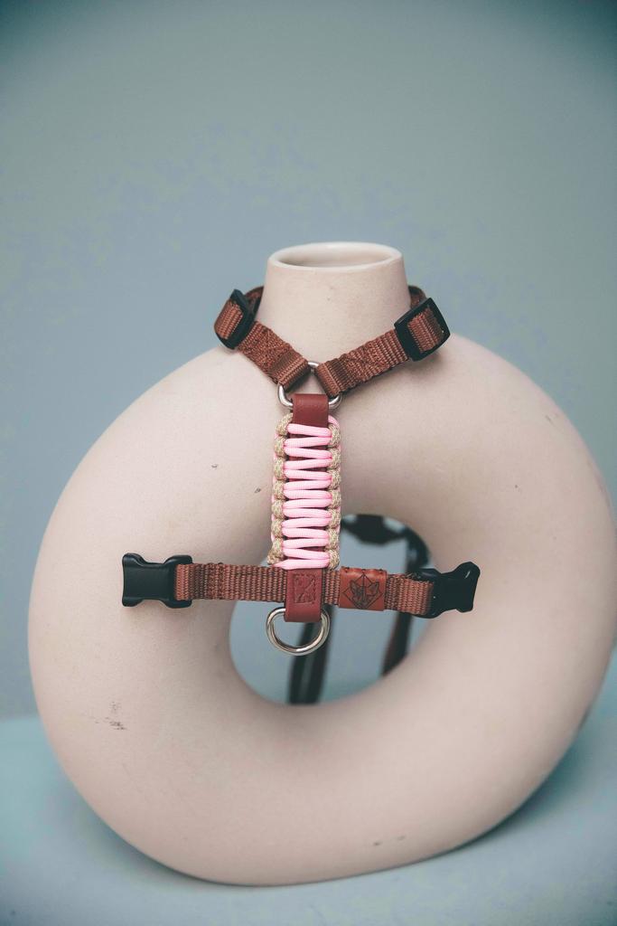 ШЛЕЙКА ДЛЯ МАЛЫХ ПОРОД