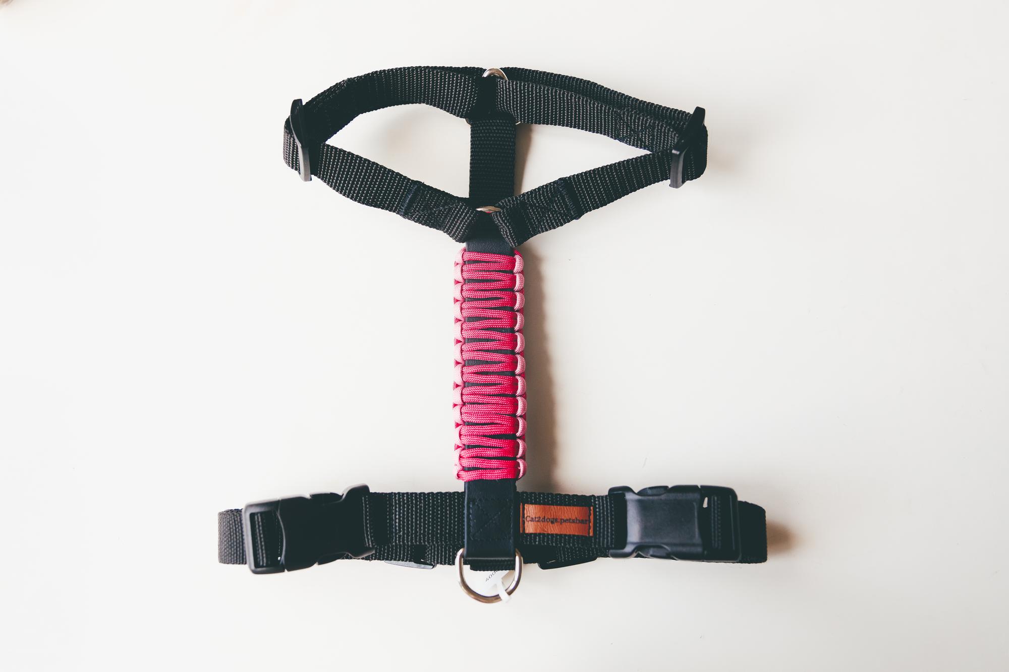 ШЛЕЙКА ДЛЯ БОЛЬШИХ ПОРОД С БИОТАНОВОЙ СПИНКОЙ