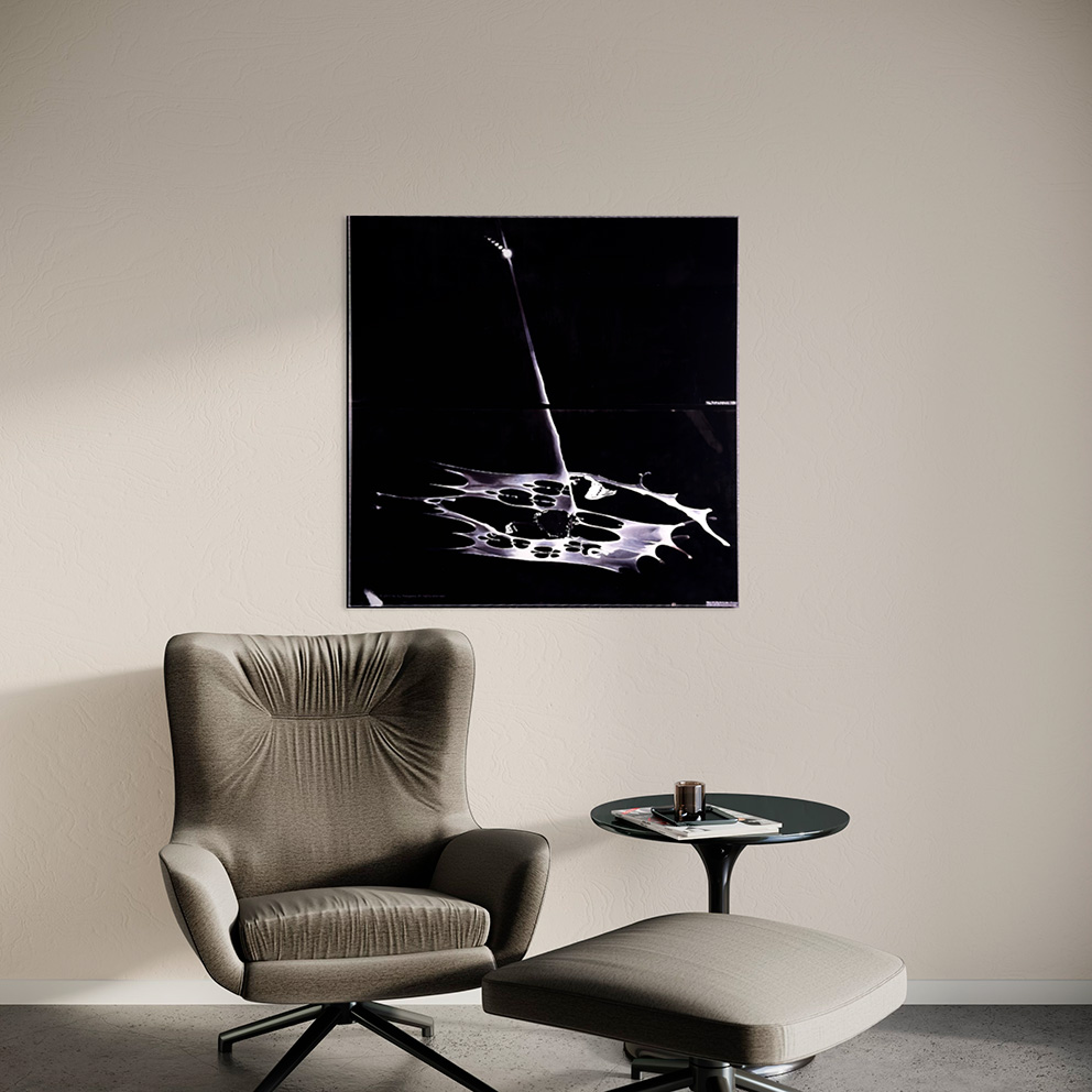 Картина со смыслом, ДИПТИХ, ч/б абстракция "Возрождение", маслом на 2-х холстах 50х100 см, 2017, YAPOTAPOVA