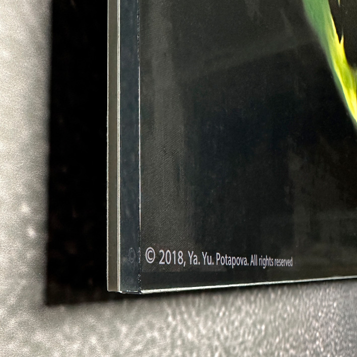 Современная принт-картина Deluxe, человек из круга "Вне кармы", 50х40 см, стекло