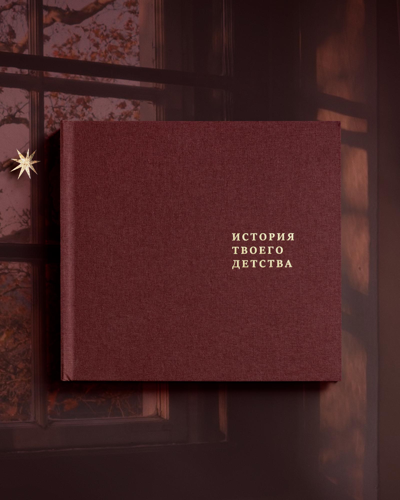 Детский альбом «История твоего детства» (Пион)