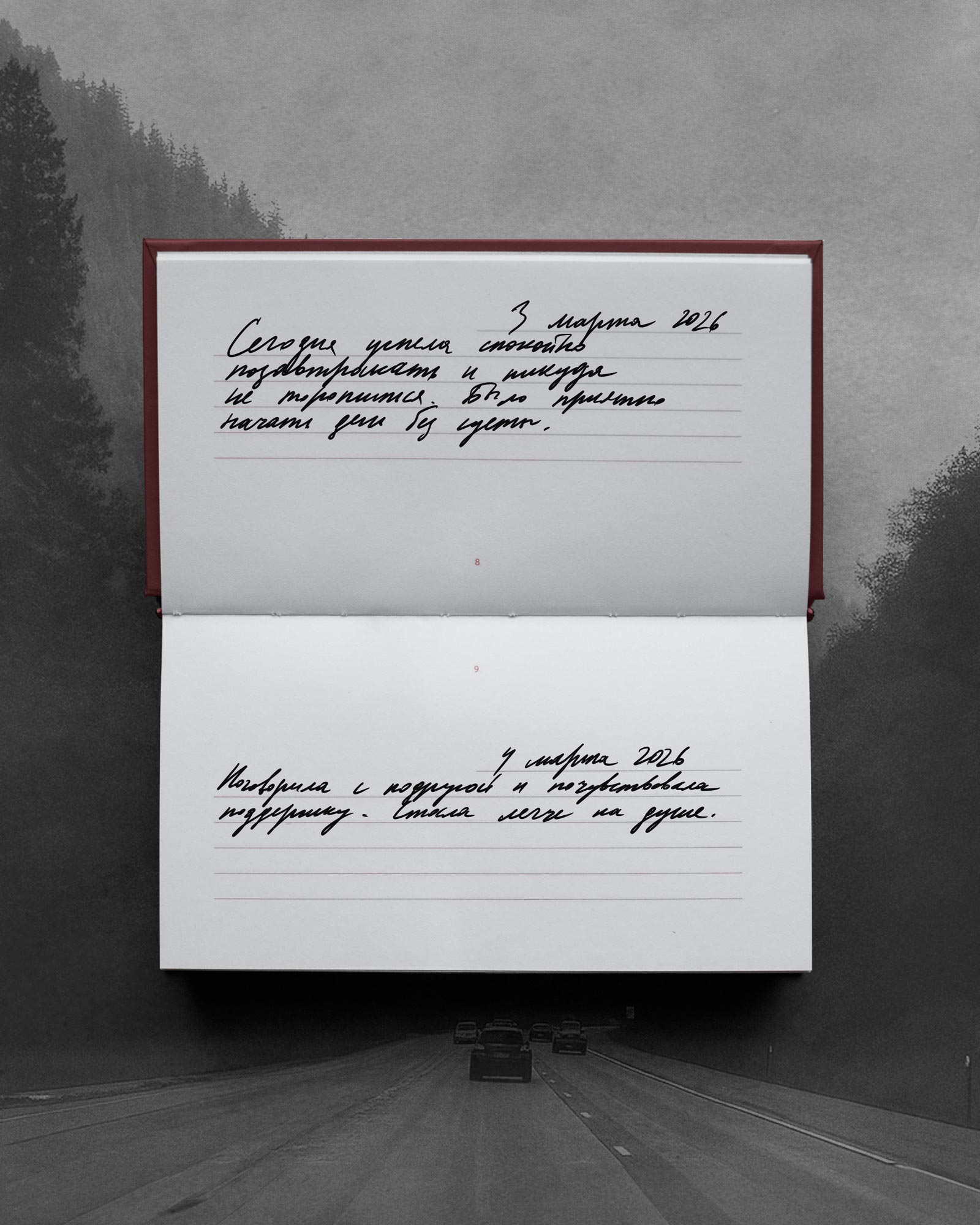 Блокнот «Ещё один прекрасный год» (Бордовый)