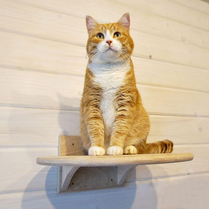 Полочка для кошек (арт. 30447914)