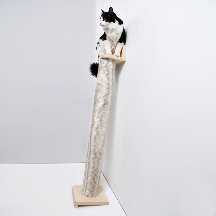 Когтеточка (арт. 30455397)