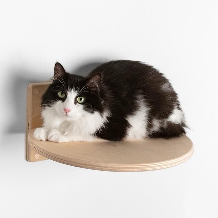 Круглая полочка для кошки с креплением к стене (можно добавить подушку на кнопках)