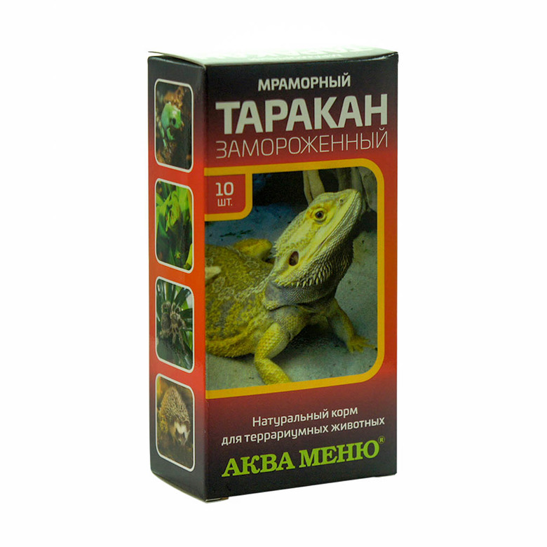 Таракан мраморный замороженный, 10 штук