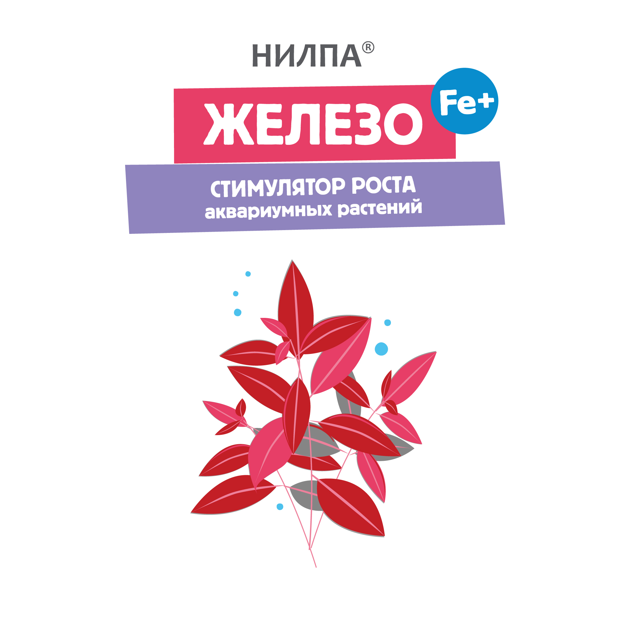 ЖЕЛЕЗО