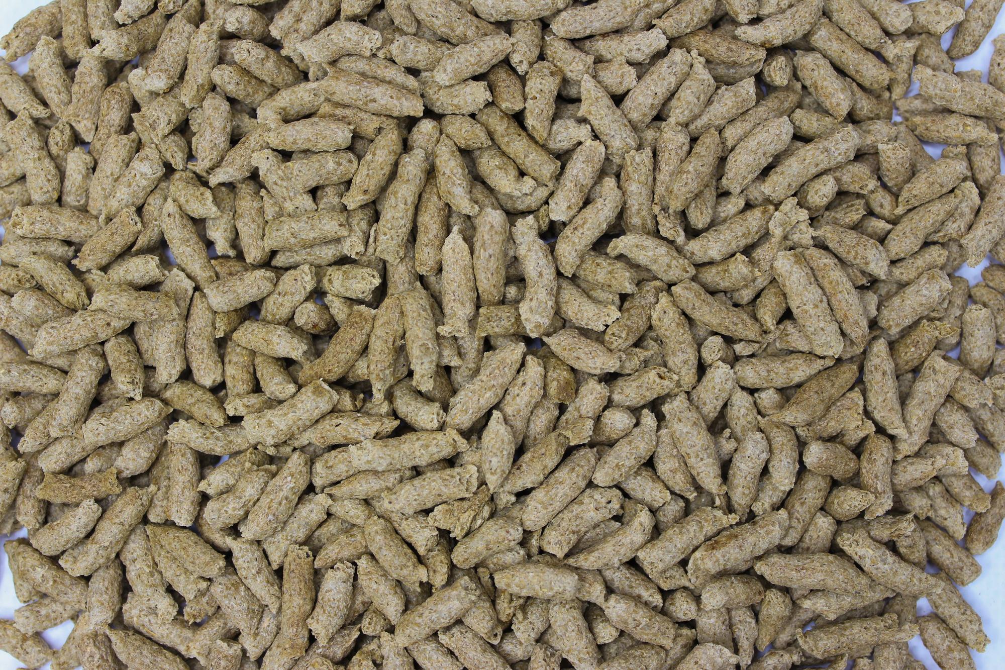 ПРУДОСТИКС