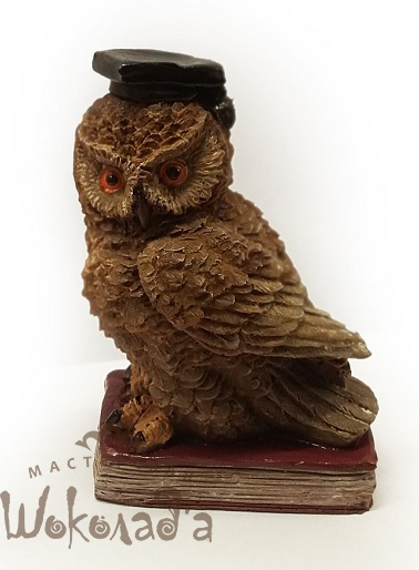 Мудрая сова