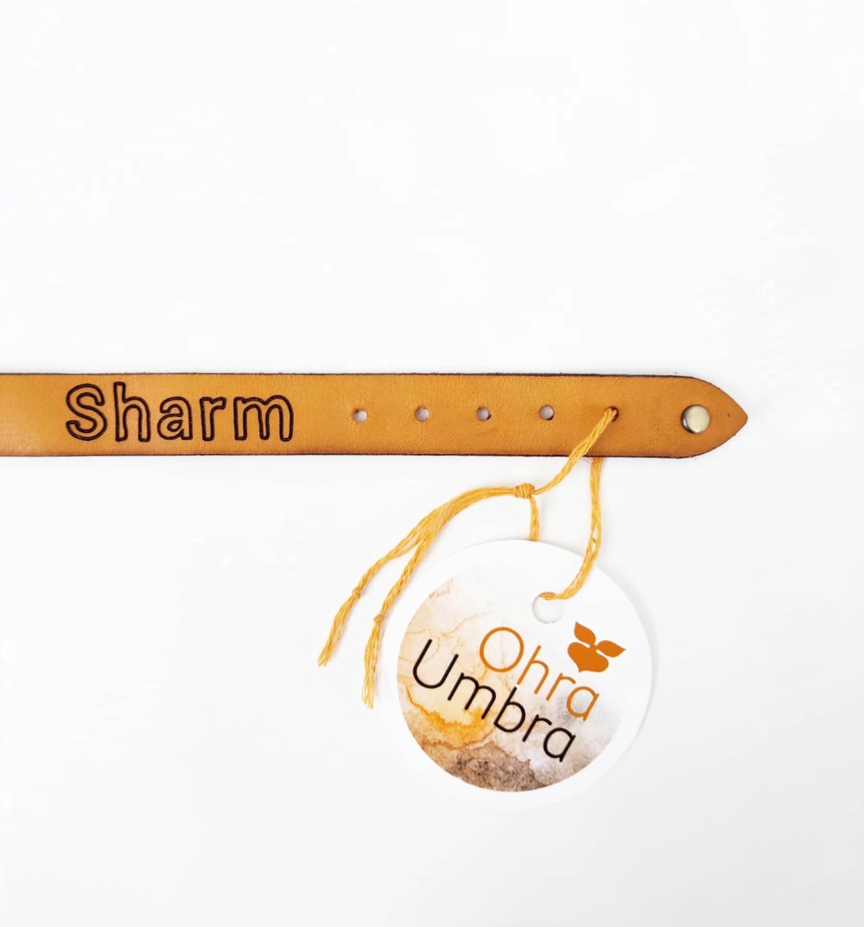 Ошейник для собаки на заказ (Шарм)