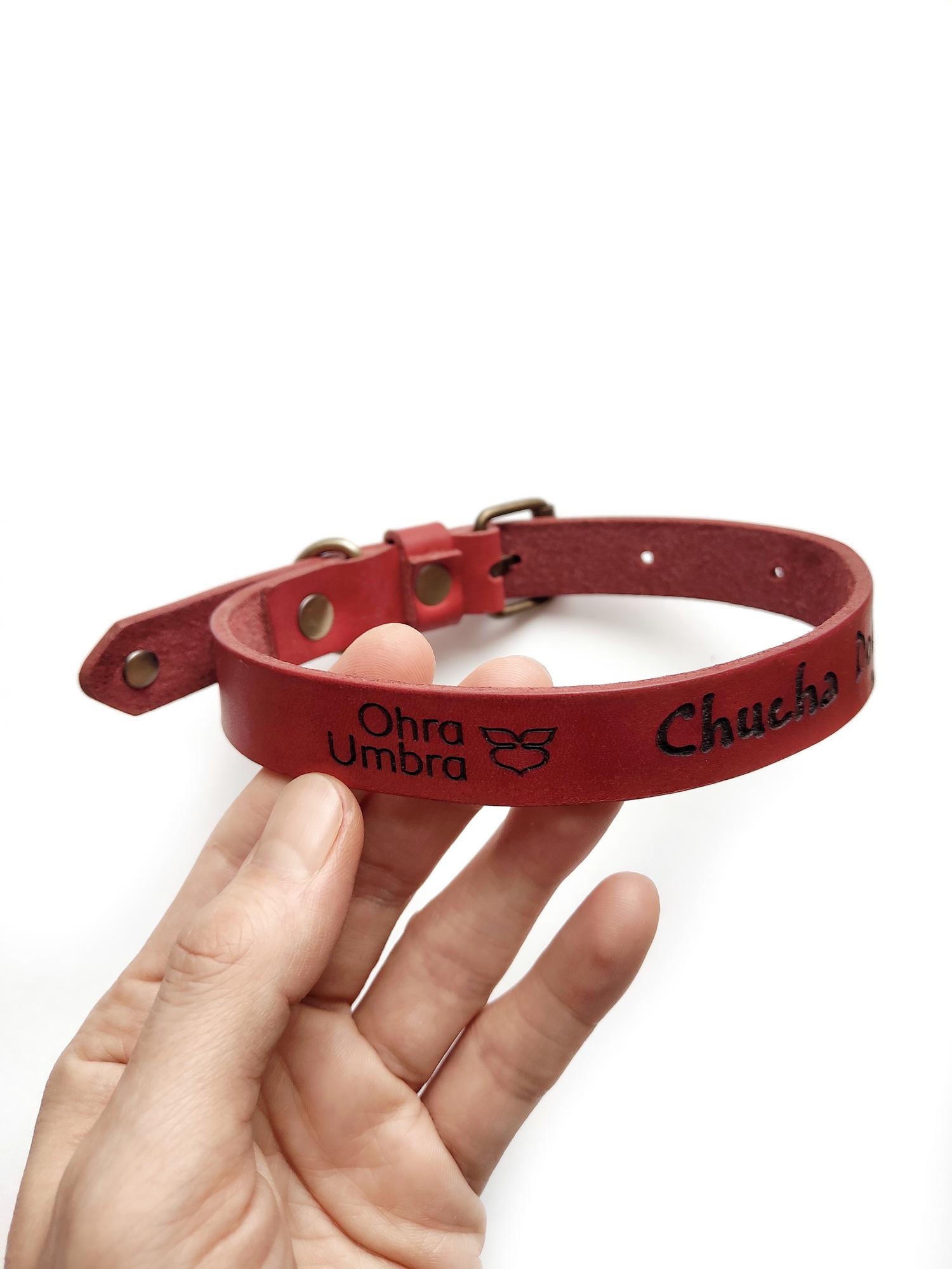 Ошейник для собаки на заказ (Чуча)