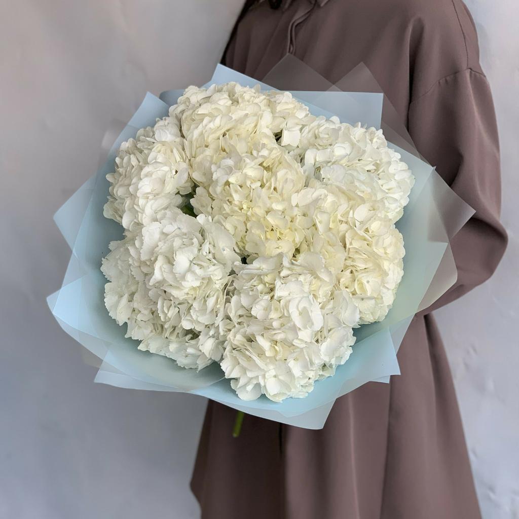 Воздушные сны