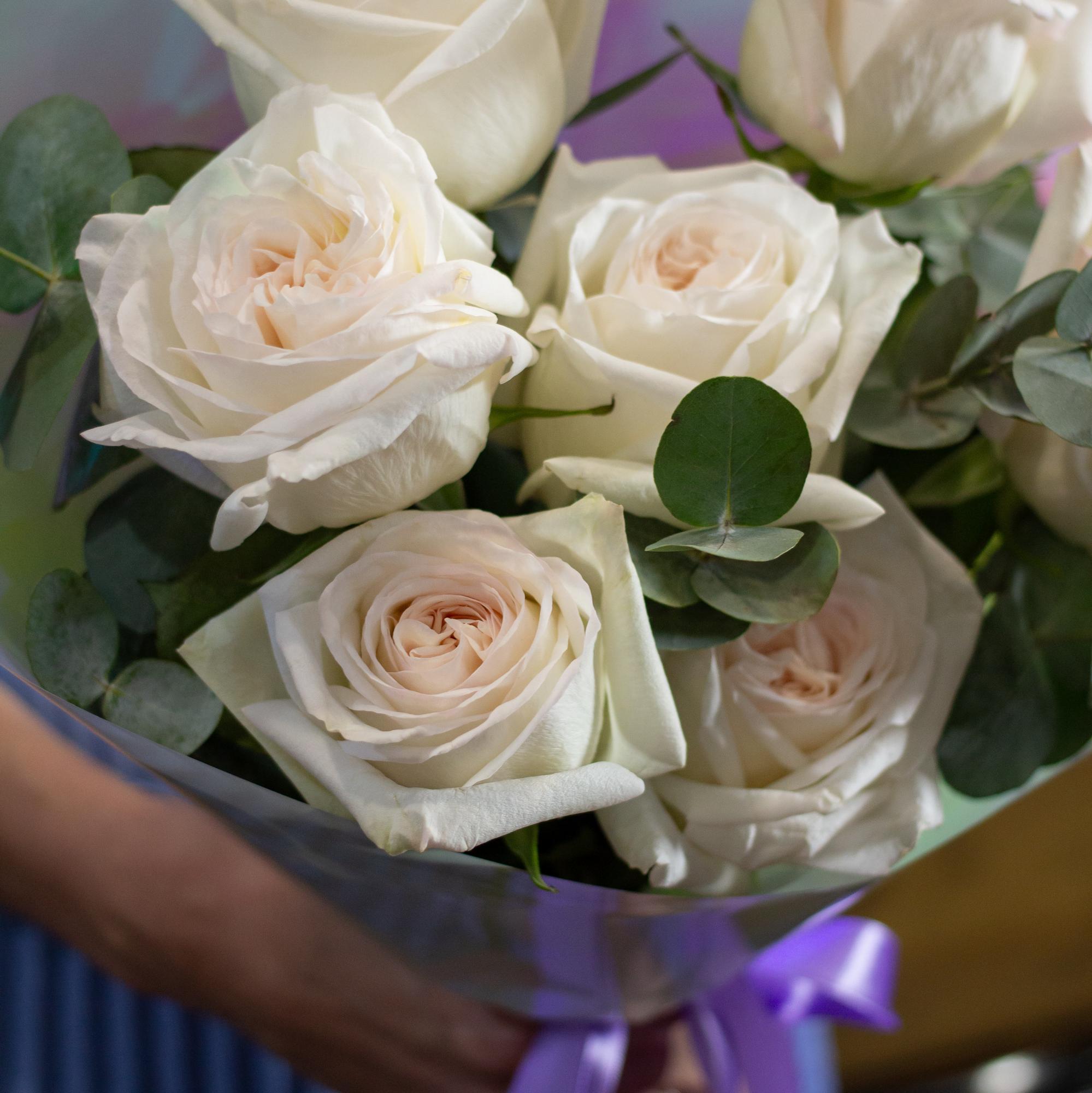 Фарфоровая нежность