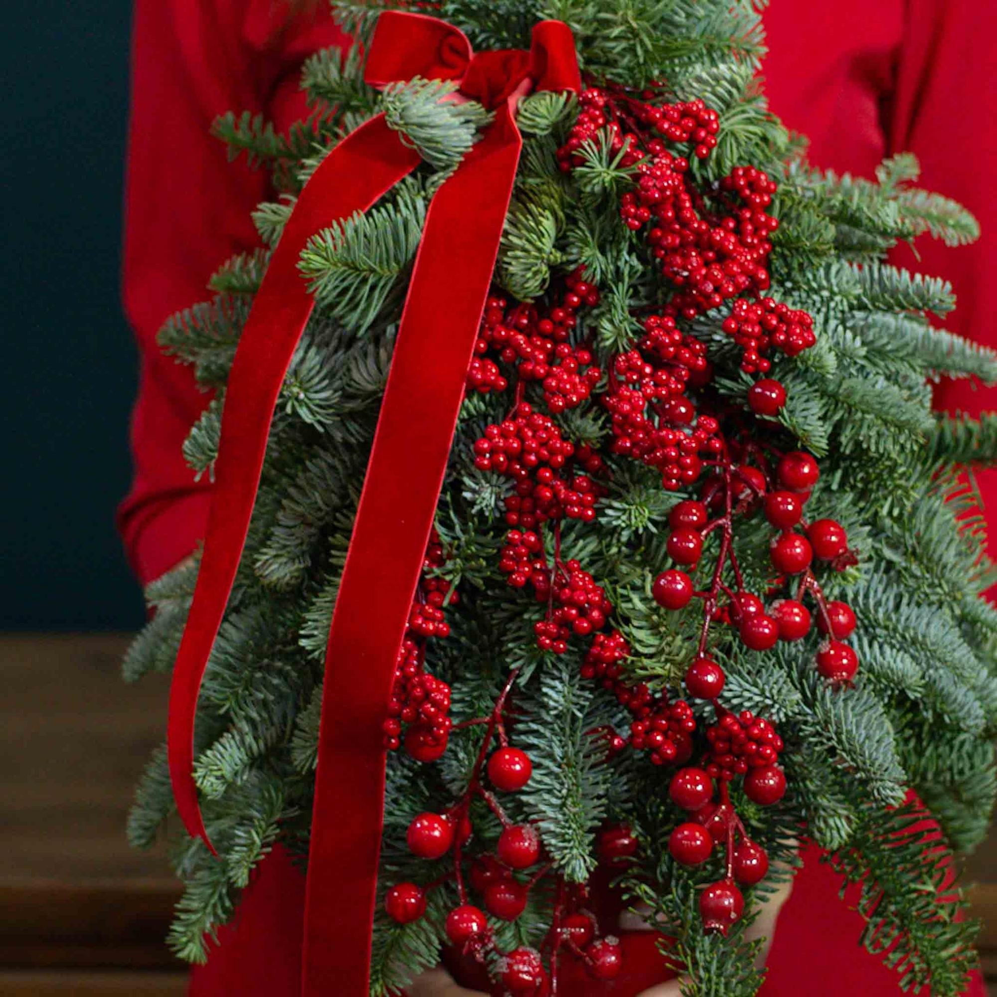 Бархатная ель