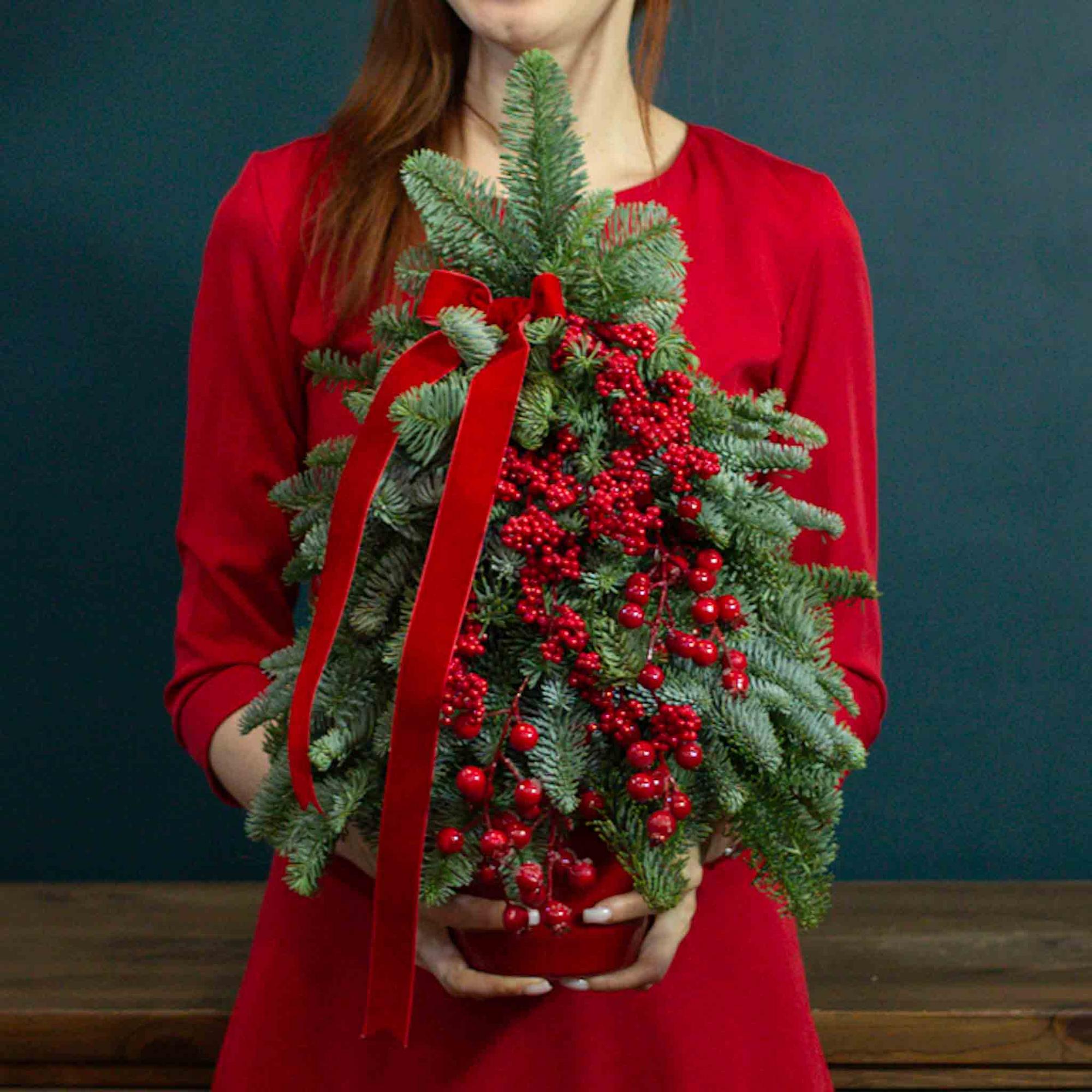 Бархатная ель