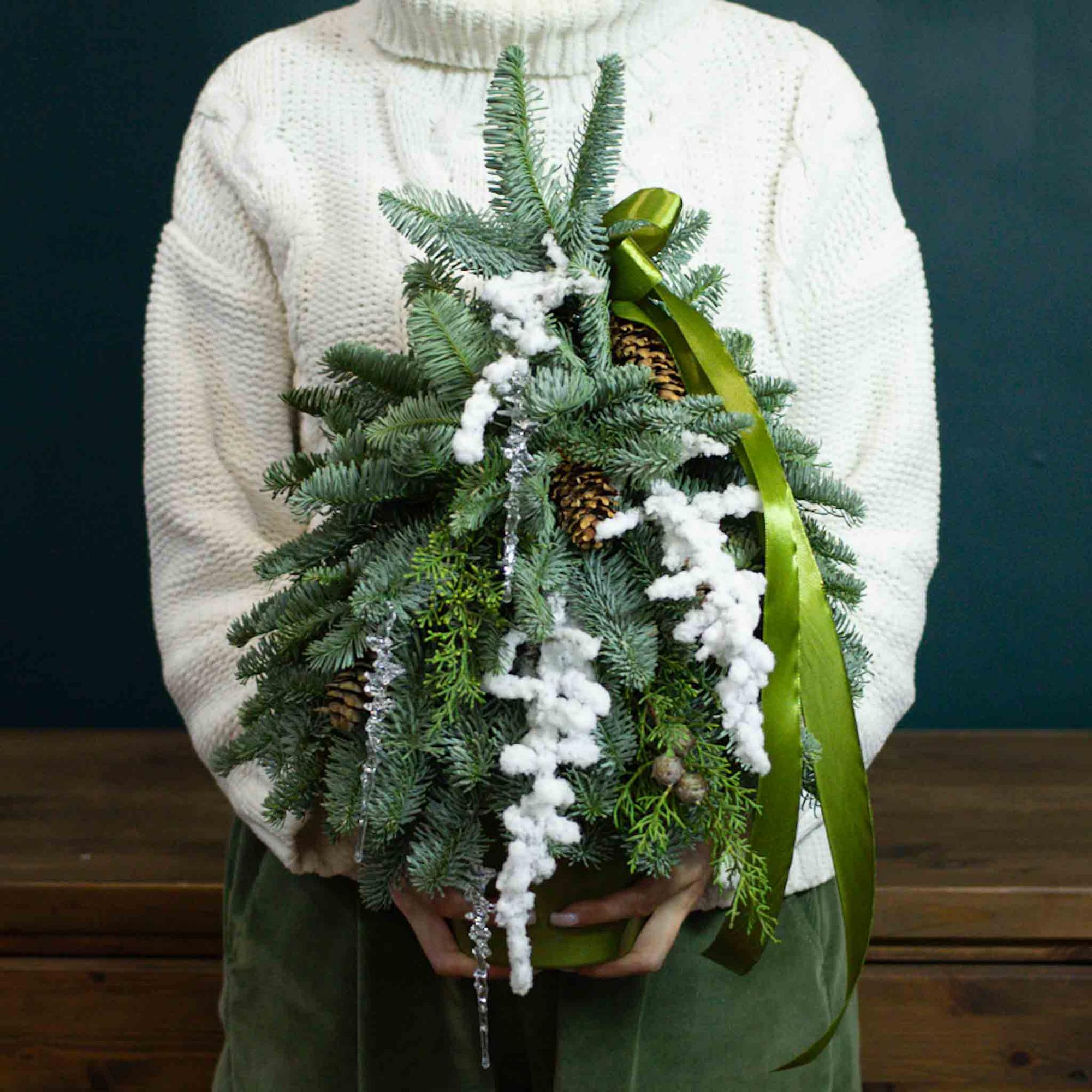 Ель под первым снегом