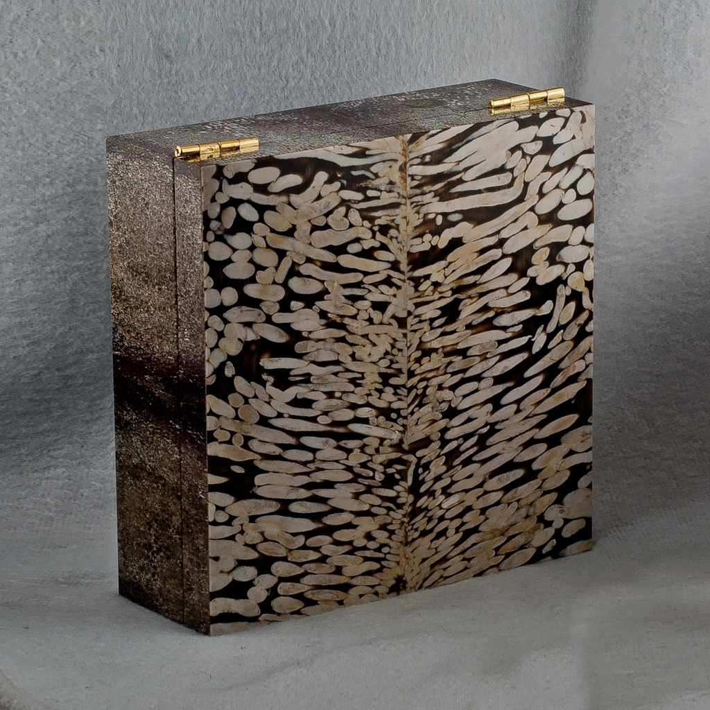 Шкатулка-хьюмидор (ореховое дерево, кость динозавра)