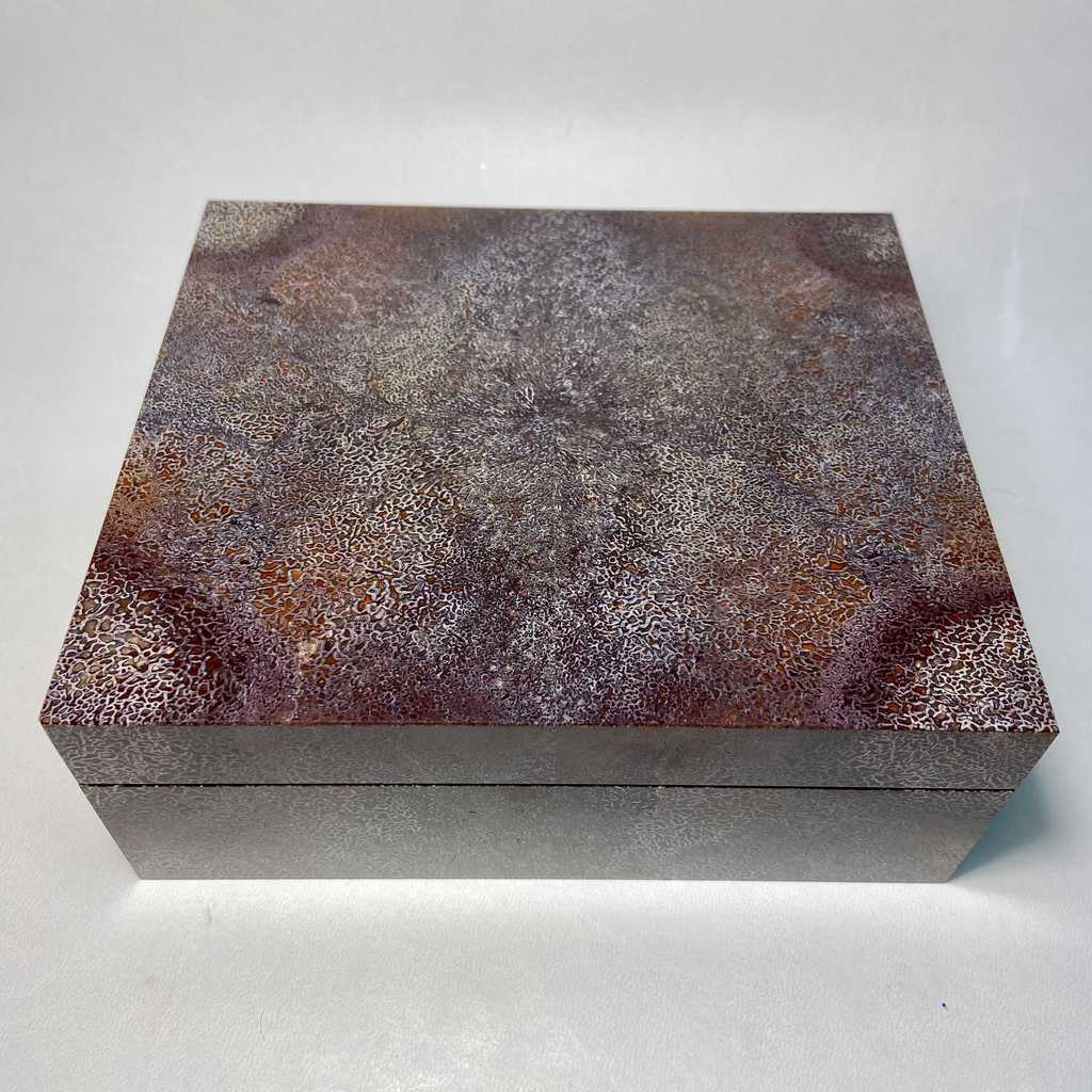 Шкатулка-хьюмидор (кость динозавра)