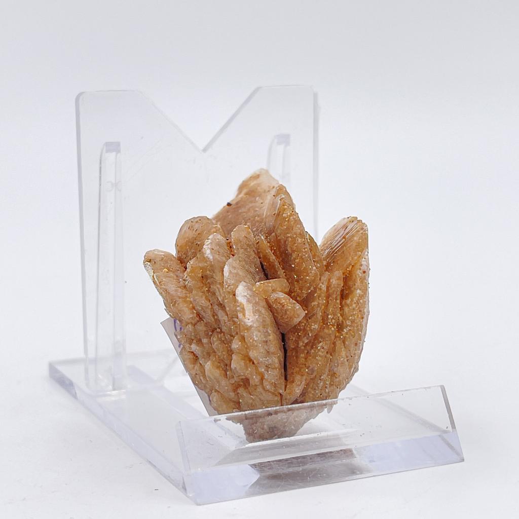 Гипсовая "роза", Китай