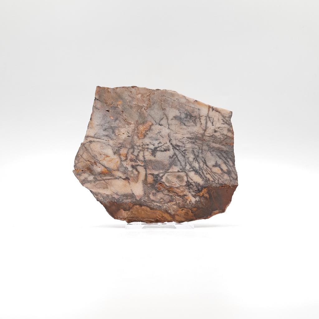 Пластина, яшма дендритовая, Австралия