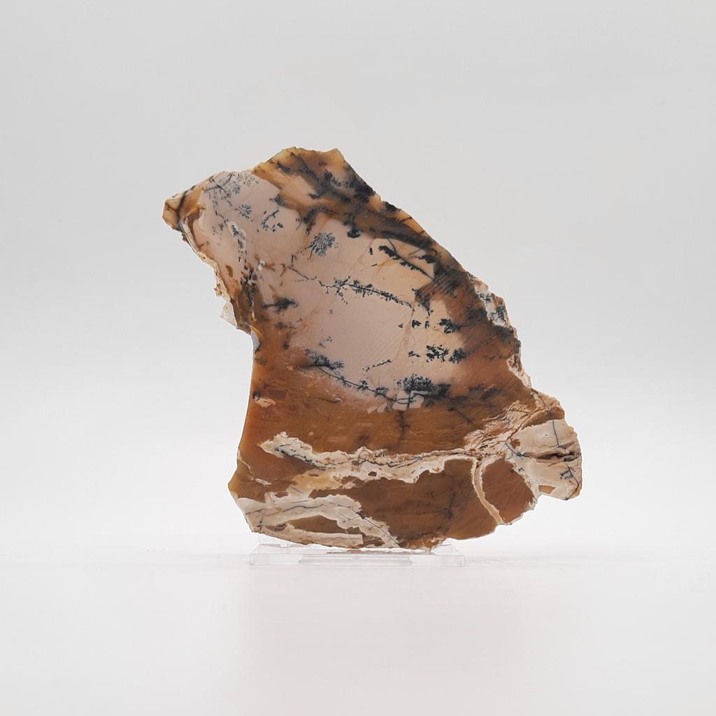 Пластина, агат дендритовый, Австралия