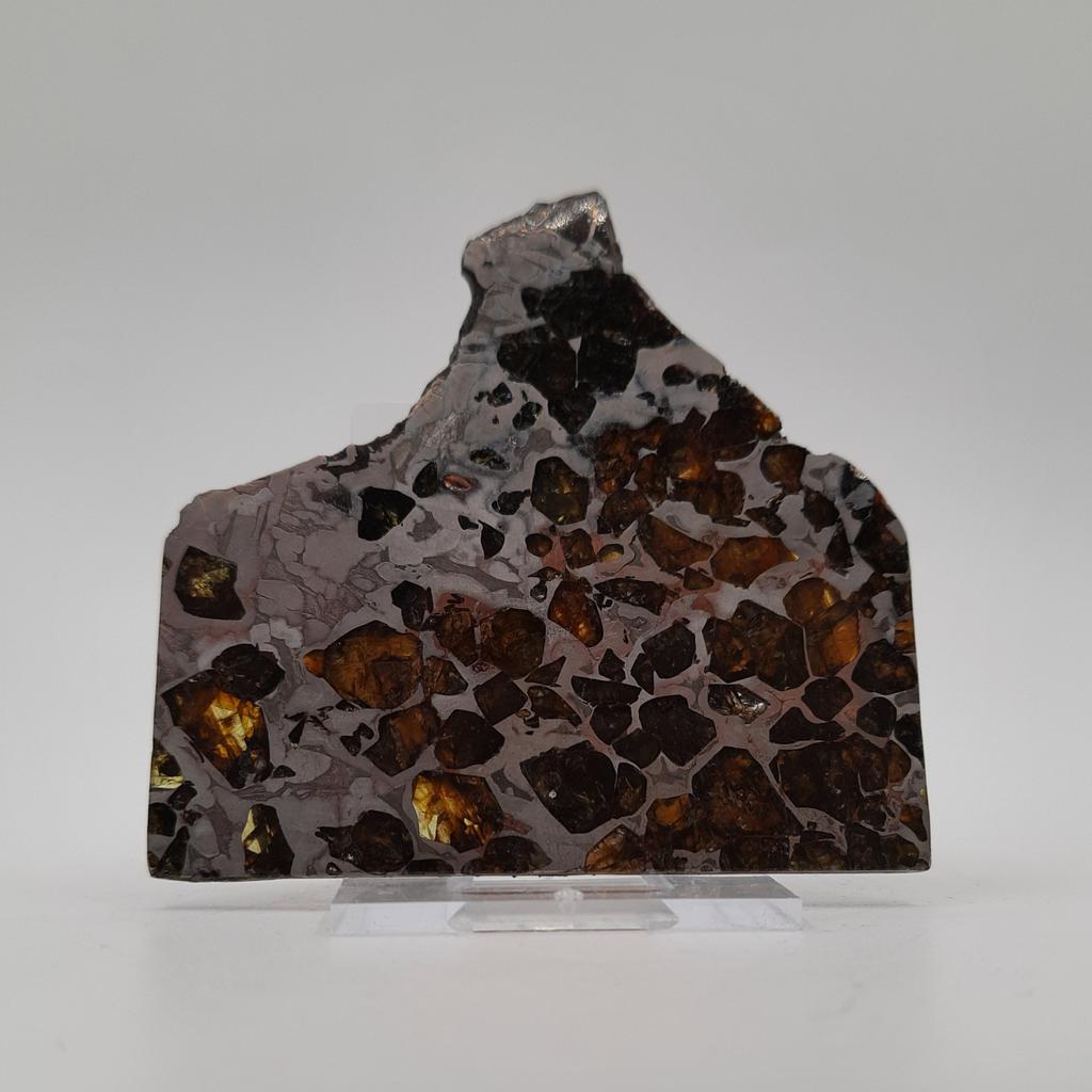 Пластина, метеорит палласит Сеймчан, Россия