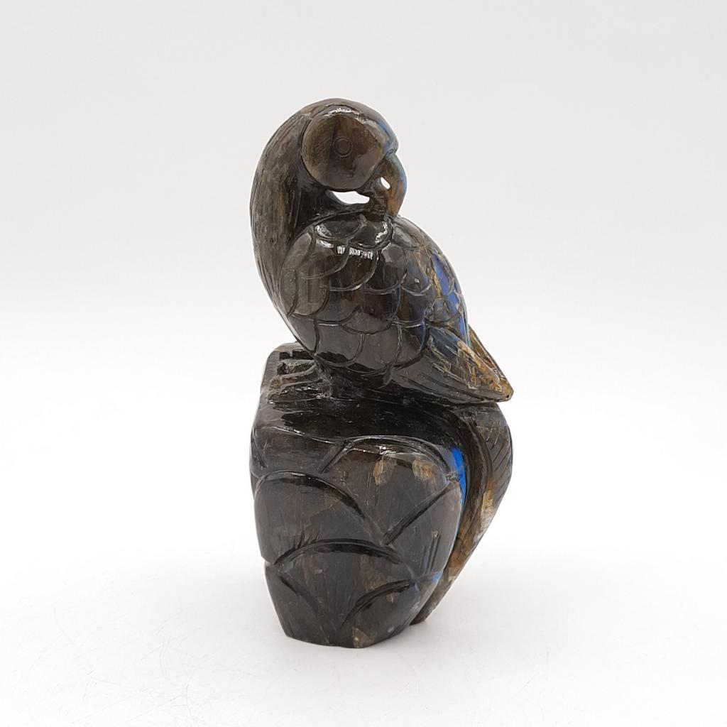 "Попугай", лабрадорит