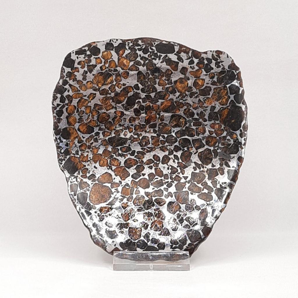 Пластина, метеорит палласит Сеймчан, Россия