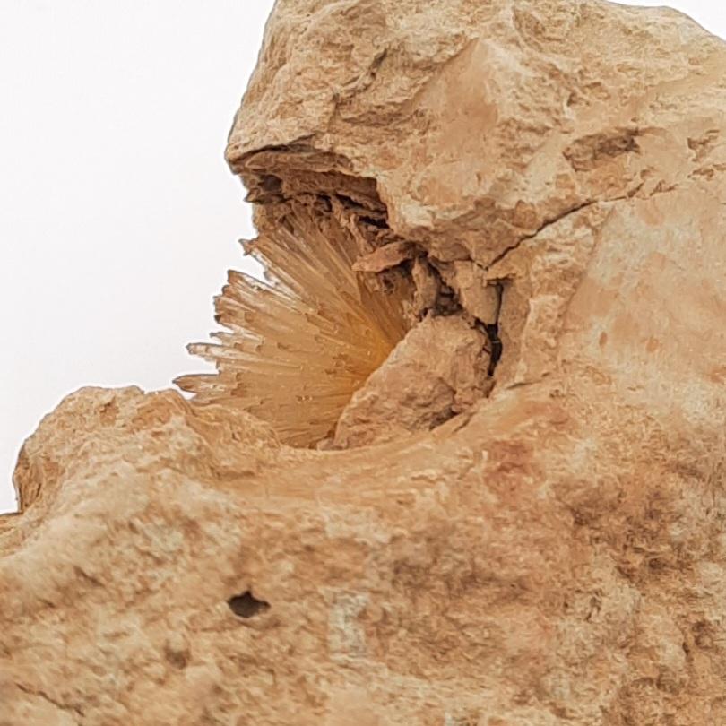 Арагонит игольчатый в "гнезде", Испания