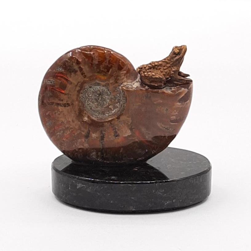 Композиция "Лягушка на аммоните"