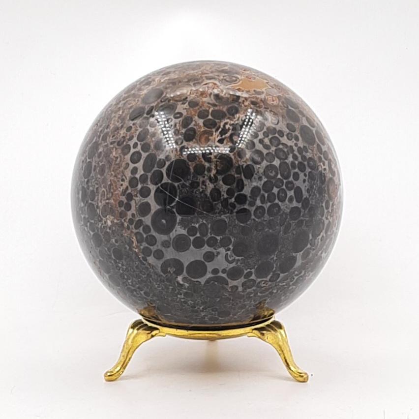 Шар, коралл чёрный, Индонезия