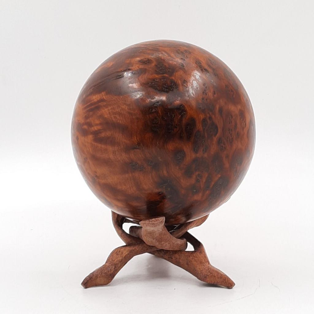 Шар, дерево туя, Марокко